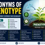 Synonyms of Phenotype