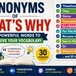 Synonyms of That's Why